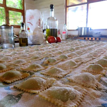 Hacienda Santa Rosa La Casa Del Tilo Bed & Breakfast エクステリア 写真