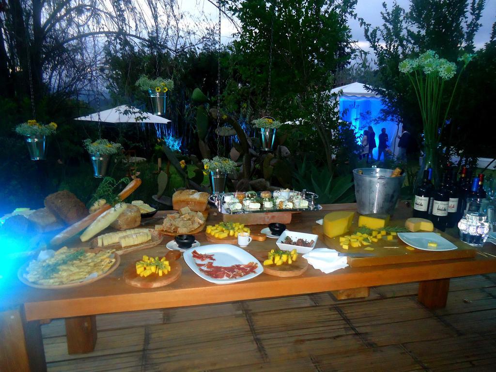 Hacienda Santa Rosa La Casa Del Tilo Bed & Breakfast エクステリア 写真
